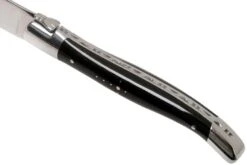 Laguiole En Aubrac Steakmesser-Set 6-teilig Buffelhorn -Victorin Geschaft AU62C99BUIH 06 laguiole en aubrac v202111