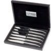 Laguiole En Aubrac Steakmesser-Set 6-teilig Shiny