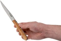 Laguiole En Aubrac Re-move 6-teiliges Steakmesserset Wacholderholz -Victorin Geschaft AU6MC99RGEIL 09 laguiole en aubrac