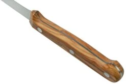 Due Cigni Tuscany 2C765-11OL Steakmesser 11 Cm Olivenholz -Victorin Geschaft DG2C765 11OL 04 duecigni