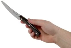 Due Cigni Arne Line Steakmesser 11 Cm, Ziricote -Victorin Geschaft DG2C900ZW 06 due cigni arne