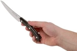 Due Cigni Arne Line Steakmesser Mit Wellenschliff 11 Cm, Ziricote -Victorin Geschaft DG2C907ZW 06 due cigni arne