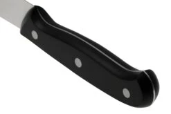 Eden Essentials Fleischmesser 20,5 Cm, 2000-120 -Victorin Geschaft EQ2000 120 04 eden