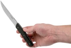 Fontenille Pataud Le Thiers Steakmesserset 2-tlg. Ebenholz, TR2TE -Victorin Geschaft FPTR2TE 06 fontenille pataud