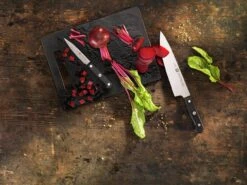 Zwilling Gourmet Officemesser 10 Cm, 36110-101 -Victorin Geschaft Gourmet3