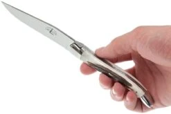 Forge De Laguiole, T22MINCFBRI, Hirschhorn -Victorin Geschaft LAT22MINCFBRI 07 forge de laguiole steakmesset lat22mincfbri 07