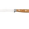 Maserin Apollo Olive 2411-OL Steakmesser
