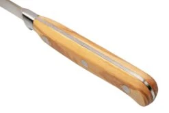 Maserin Apollo Olive 2411-OL Steakmesser -Victorin Geschaft ME2411 OL 05 maserin