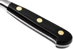 Lion Sabatier Idéal Flexibles Filetiermesser 15 Cm, 712280 -Victorin Geschaft SA1380 06 04 lion sabatier ideal sa1380 06 04