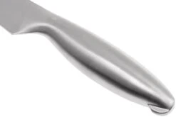 Lion Sabatier Fuso Fleischmesser 20 Cm, 747282 -Victorin Geschaft SA747282 04 lion sabatier fuso sa747282 04