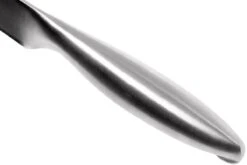 Lion Sabatier Fuso Fleischmesser 20 Cm, 747282 -Victorin Geschaft SA747282 05 lion sabatier fuso sa747282 05