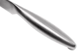 Lion Sabatier Fuso Steakmesserset 2-teilig, 747682 -Victorin Geschaft SA747682 05 lion sabatier fuso sa747682 05