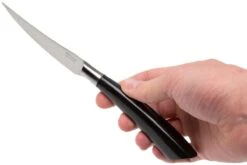 Saladini 6-teiliges Steakmesserset 23 Cm, Büffelhorn -Victorin Geschaft SL4001PB6 07 saladini sl4001pb6 07