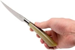 Saladini 6-teiliges Steakmesserset 23 Cm, Ochsenhorn -Victorin Geschaft SL4001PC6 07 saladini sl4001pc6 07