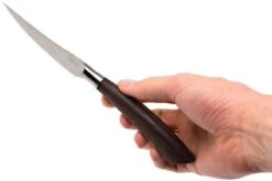 Saladini 6-teiliges Steakmesserset 23 Cm, Wenge -Victorin Geschaft SL4001PW6 07 saladini sl4001pw6 07