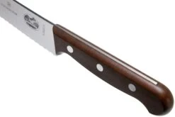 Victorinox Wood 5.2930.22G Brotmesser/Konditormesser 22 Cm, Ahorn -Victorin Geschaft VT5 2930 22G 05 victorinox