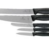 Victorinox SwissClassic 6.7133.5G Küchengarnitur, 5-teilig, Schwarz