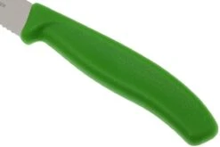 Victorinox SwissClassic Pizza-/Steakmesser Grün, 2 St., 6.7936.12L4B -Victorin Geschaft VT6 7936 12L4B 03 victorinox steakmes groen vt vt6 7936 12l4b 03