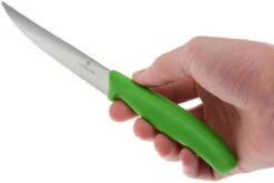 Victorinox SwissClassic Pizza-/Steakmesser Grün, 2 St., 6.7936.12L4B -Victorin Geschaft VT6 7936 12L4B 04 victorinox steakmes groen vt vt6 7936 12l4b 04